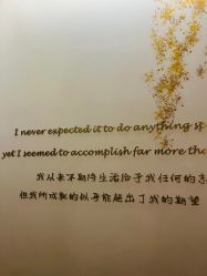 -赫本素·医疗美容中心