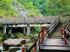 -广州白江湖森林公园