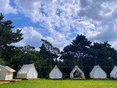 -长春市南湖公园