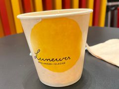 -LUNEURS月乐诗·法式冰淇淋(北外滩来福士广场店)