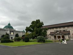 -东京国立博物馆