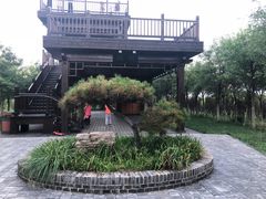 -天津东丽湖风景区