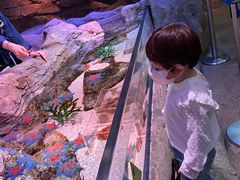 -沈阳海洋探索中心