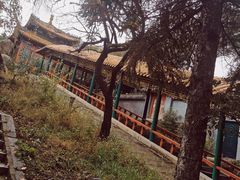 -高尔山公园