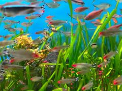 -太平洋海底世界