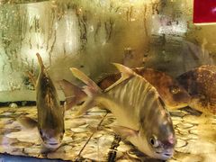 -巽寮印象美食部落餐厅·海鲜·地方特色菜(惠州体验店)