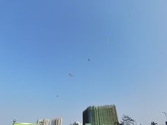 -仙湖旅游度假区