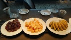 -巍阁高端月子会所