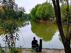 -新江湾城公园