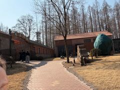 -日照海滨国家森林公园