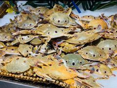 -吉布鲁牛排海鲜自助(CBD万达店)