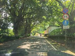 -广州市石门国家森林公园