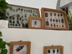 -TIENSTIENS将将(三里屯店)