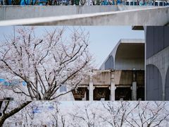 -龙美术馆(西岸馆)