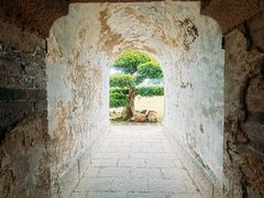 -石炮台公园
