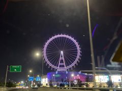 -泰盛楼顶摩天轮