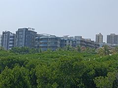 -一茶一点(海景店)