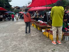 -萝卜寨羌文化生态旅游区