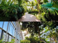 -国家植物园南园