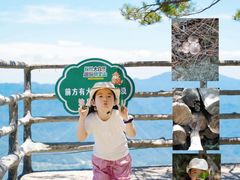 -明堂山风景区