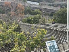 -福道