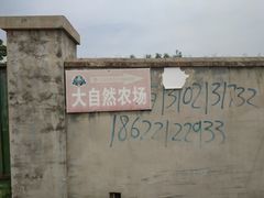 -大自然农场蔬菜草莓采摘园
