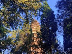 -洛阳白马寺