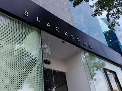 -BLACKSWAN黑天鹅(环球店)