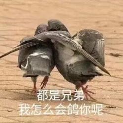 -逸丝风尚专注烫染