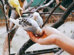 -上海大自然野生昆虫馆(东方明珠·爬宠昆虫探索中心)