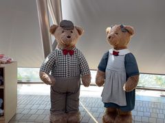 -济州岛泰迪熊博物馆