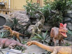 -国家自然博物馆