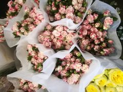 -三圣花乡旅游区