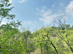 -白水寺森林公园