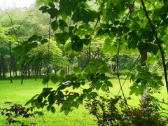 -东莞植物园