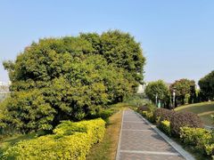 -立新湖公园
