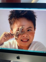 -57KIDS儿童摄影