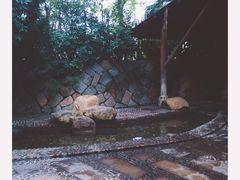 -厦门日月谷温泉渡假村