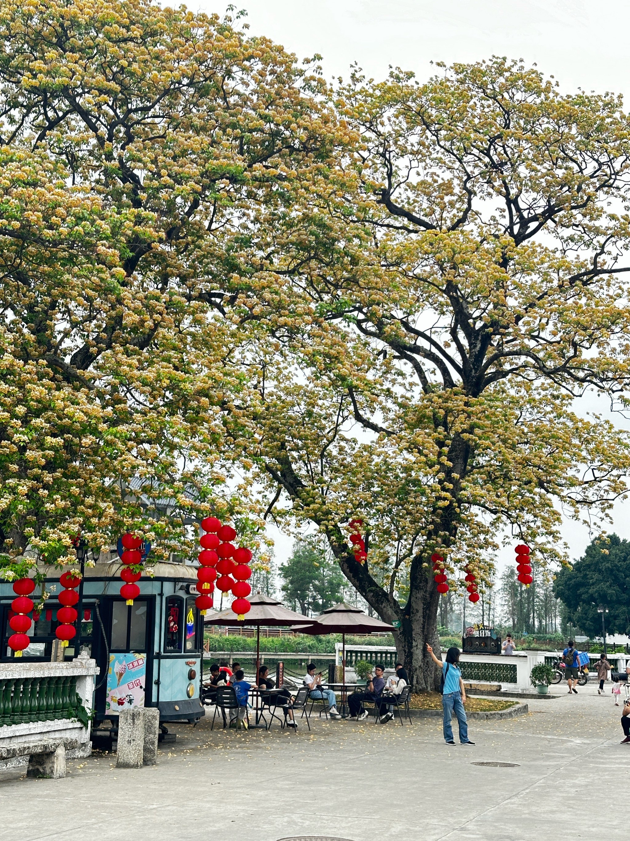 江门好景花园图片