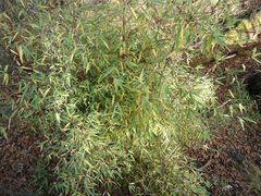 -常熟路(地铁站)