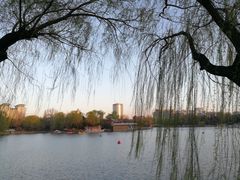 -九花山烤鸭店