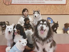 -和它·交个朋友·狗咖猫咖(爱琴海店)