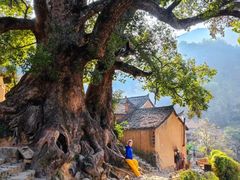 -杨家堂村