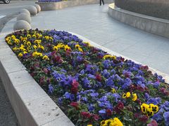 -上海市第一人民医院(松江南部)