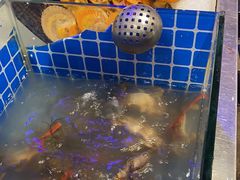 -千百叶海鲜自助餐厅(万达广场店)