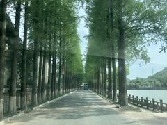 -黄贤森林公园