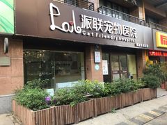 -派联宠物医院·24h·CT·异宠