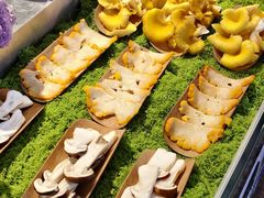 -菌自由丨野生菌火锅特色庭院餐厅(丽江古城店)