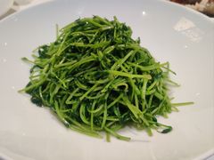 炒豆苗-洋洋中餐馆·SINCE 1997(信投店)