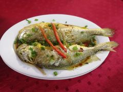 -蛇口康乐快餐鱼仔档(翠苑小区店)